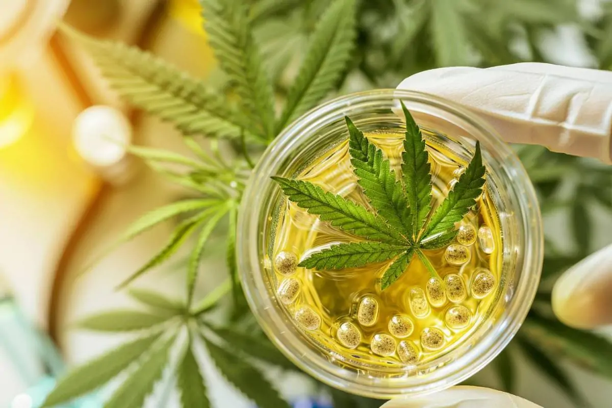 CBD et test urinaire : tout savoir sur les impacts