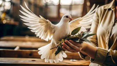 Chérubin et colombe en or : le vrai sens d’un cadeau de naissance ou de baptême